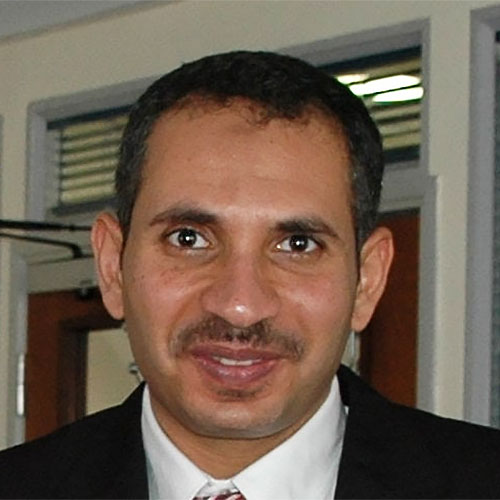 Ayman Hefnawi